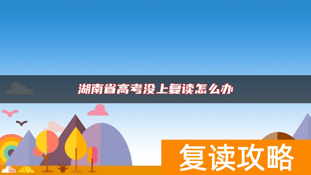 湖南省高考没上复读怎么办